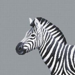 S 10656 Wzór do haftu na smartfona - Czarno-biała zebra