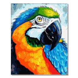PC4050852 Malowanie po numerach - Tęczowa papuga