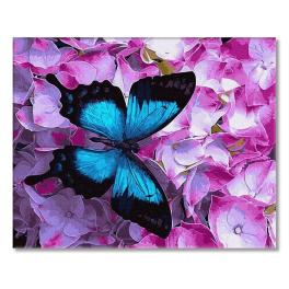 PC4050525 Malowanie po numerach - Kolory motyla