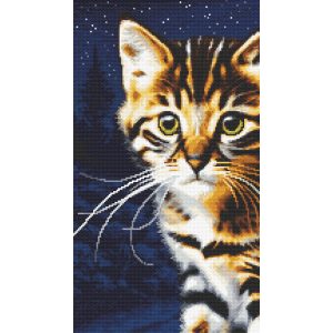Cross stitch pattern for a phone - Night cat