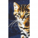 Cross stitch pattern for a phone - Night cat