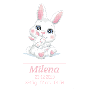 Cross stitch pattern for a phone - Birth certificate with bunnies - Girl