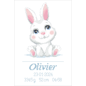 GC 10867 Cross stitch pattern on paper - Birth certificate with a bunny - Boy