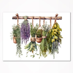 0342PL Poster - Hanging herbs