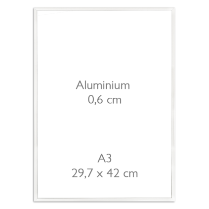 RA-A3B Aluminium frame 29,7x42 cm white A3