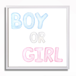 0493RA Obraz Baby shower - Boy or Girl
