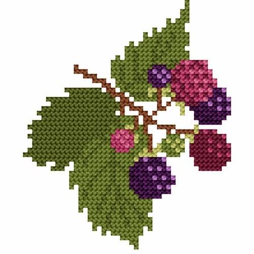 Wzór graficzny online - Jeżyny Wzór graficzny online - Jeżyny