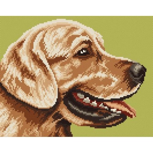 Kanwa z nadrukiem - Golden_Retriever Kanwa z nadrukiem - Golden_Retriever
