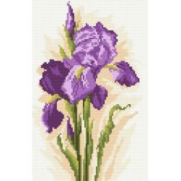 W 33025 Wzór graficzny ONLINE pdf - Piękne kwiaty
