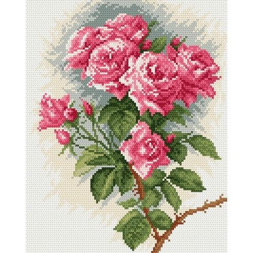 GC 4045 Wzór graficzny - Róże