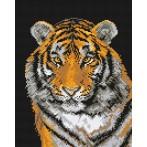 GC 444 Wzór graficzny - Tygrys