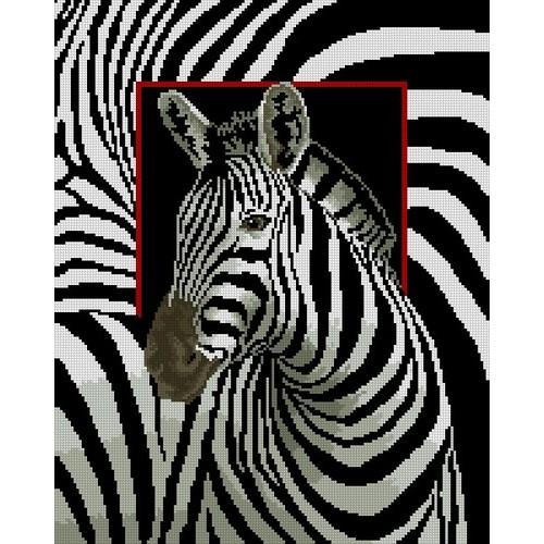 Kanwa z nadrukiem - Zebra Kanwa z nadrukiem - Zebra