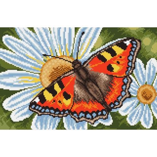 Aida z nadrukiem - Motylek i margerytki Aida z nadrukiem - Motylek i margerytki