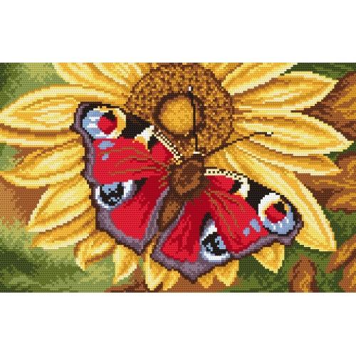 Aida z nadrukiem - Motyl i słonecznik Aida z nadrukiem - Motyl i słonecznik