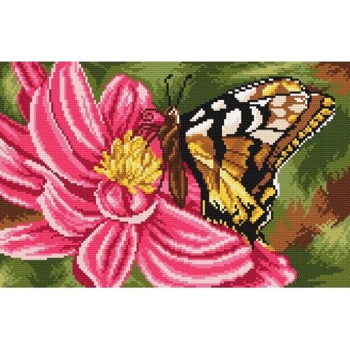 Aida z nadrukiem - Motyl i Dalia Aida z nadrukiem - Motyl i Dalia