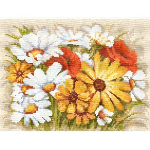 Aida z nadrukiem - Margaretki z makami Aida z nadrukiem - Margaretki z makami
