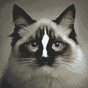 Z 8915 Cross stitch kit - Cat ragdoll