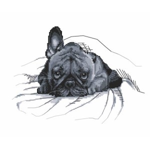 Z 8768 Cross stitch kit - French bulldog - It was not me