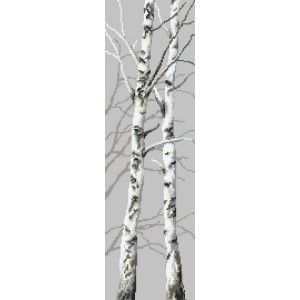 W 8764 Cross stitch pattern PDF - Birches II