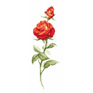 Wzór do haftu drukowany - Czerwona róża
