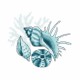 GC 10221 Cross stitch pattern - Sea shells III