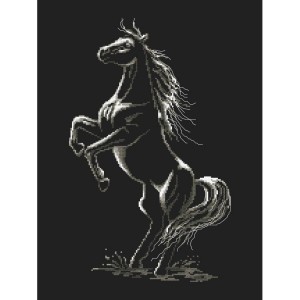 W 10243 Wzór do haftu PDF - Zaklęty koń