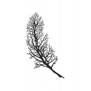 W 10251 ONLINE pattern pdf - Black feather