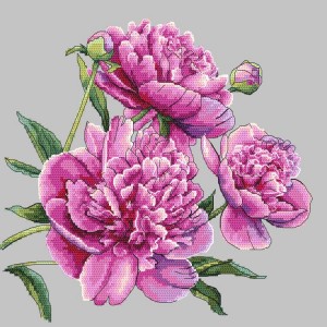 W 10272 ONLINE pattern pdf - Beautiful peonies