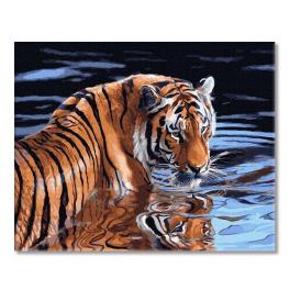PC4050652 Malowanie po numerach - Tygrys i woda